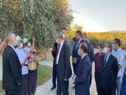 Mersin Valisi Ali İhsan Su Mut da bir dizi inceleme ve ziyarette bulundu